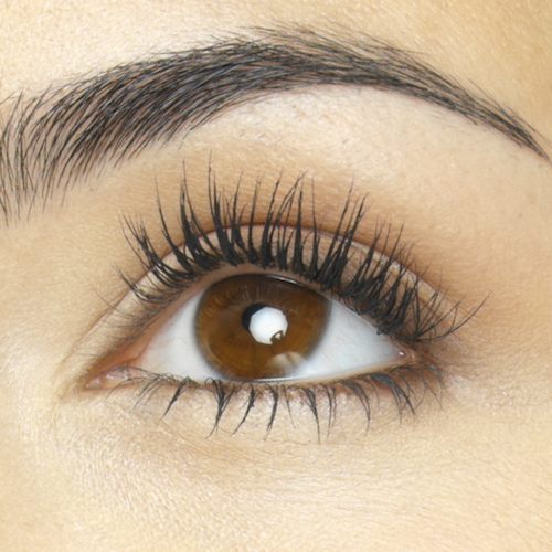 Why Do We Have Eyebrows and Eyelashes? - MeMD