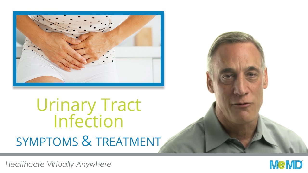 Urinary Tract Infections Symptoms, Information and Resources | MeMD